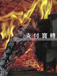 支付寶轉賬起訴(支付寶轉賬起訴)