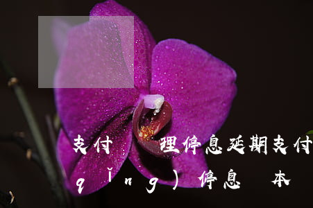 支付寶辦理停息延期(支付寶逾期可以申請(qǐng)停息還本嗎)