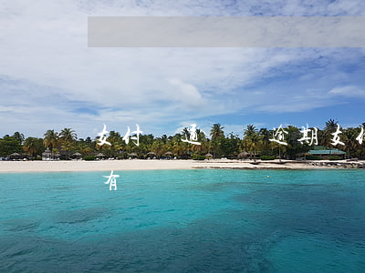 支付寶通訊錄逾期(支付寶逾期會打通訊錄所有電話嗎)