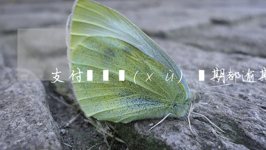 支付寶連續(xù)兩期都逾期3天