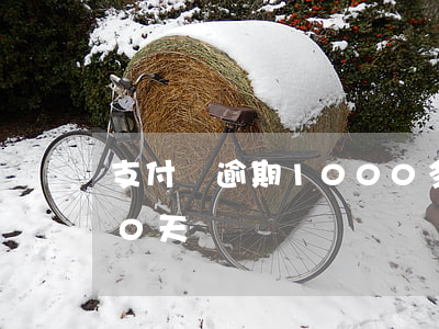 支付寶逾期1000多天 支付寶逾期1300天