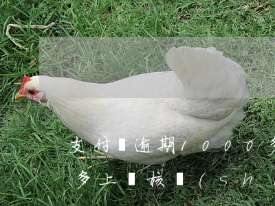 支付寶逾期1000多(支付寶逾期1000多上門核實(shí)合法嗎)