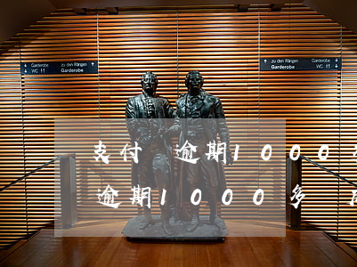 支付寶逾期1000多會成老賴嗎-支付寶逾期1000多會成老賴嗎知乎