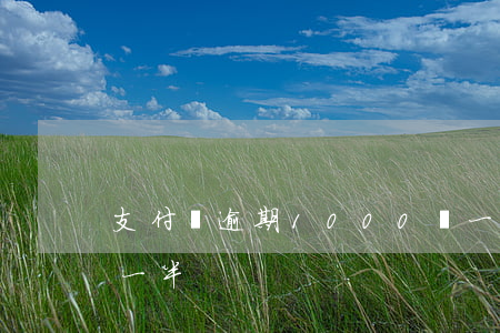 支付寶逾期1000還一半(支付寶逾期還了一半)