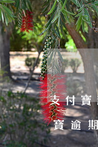 支付寶逾期100元無力償還怎么辦-支付寶逾期100元無力償還怎么辦呢