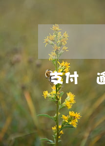 支付寶逾期10500圖片