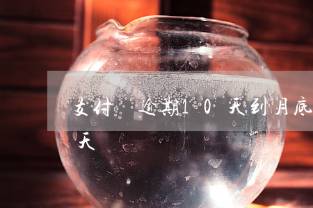 支付寶逾期10天到月底了-支付寶逾期半天