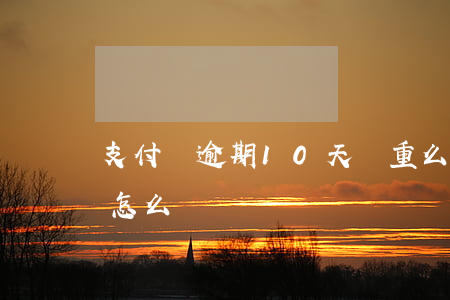 支付寶逾期10天嚴重么 支付寶逾期十二天怎么辦