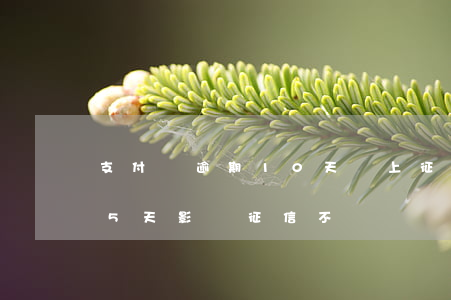 支付寶逾期10天會上征信嗎（支付寶逾期15天影響征信不）