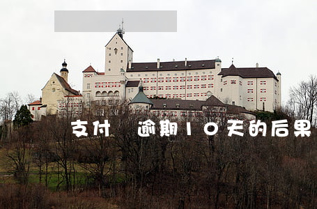 支付寶逾期10天的后果