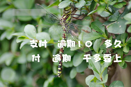 支付寶逾期10萬多久會(huì)上門(支付寶逾期兩千多要上門)