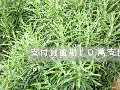 支付寶逾期10萬(支付寶逾期10萬多久起訴)