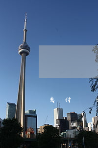 支付寶逾期11天上征信嗎 支付寶逾期一天上征信嗎