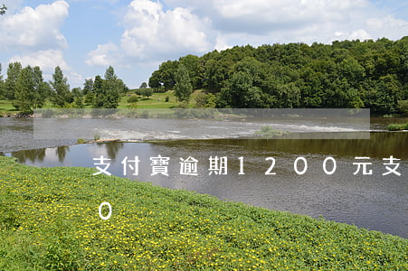 支付寶逾期1200元(支付寶逾期10000)