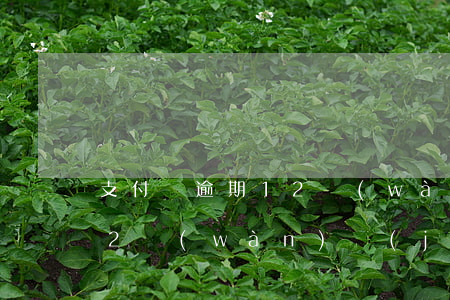支付寶逾期12萬(wàn)(支付寶逾期12萬(wàn),經(jīng)偵處報(bào)案)