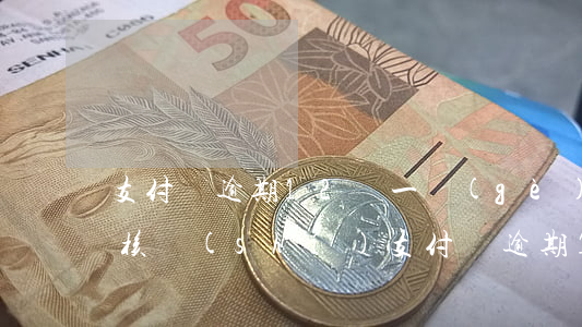 支付寶逾期12萬一個(gè)月月要上門核實(shí)（支付寶逾期12萬一個(gè)月）