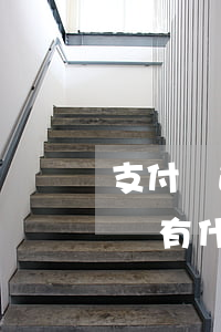 支付寶逾期12萬坐幾年-支付寶逾期十幾萬有什么后果
