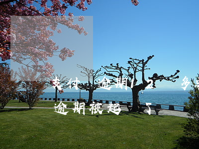 支付寶逾期12萬多要起訴我（支付寶20萬逾期被起訴了）
