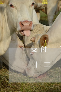 支付寶逾期13個(gè)賬單(支付寶逾期十二萬(wàn))