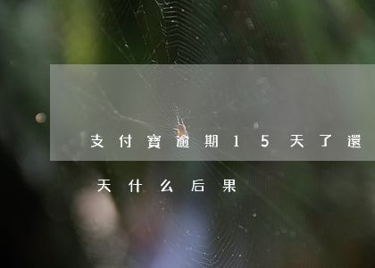 支付寶逾期15天了還能用嗎(支付寶逾期5天什么后果)