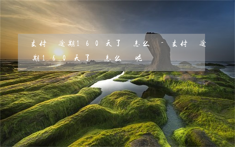 支付寶逾期160天了會怎么樣-支付寶逾期160天了會怎么樣呢