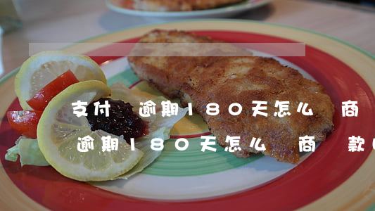 支付寶逾期180天怎么協商還款-支付寶逾期180天怎么協商還款呢
