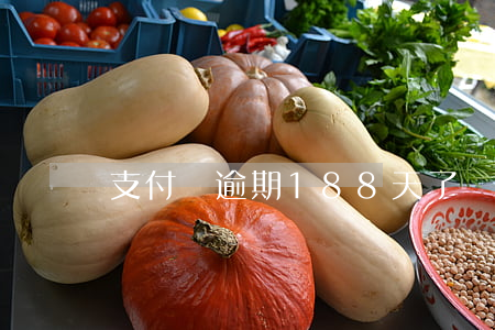 支付寶逾期188天了