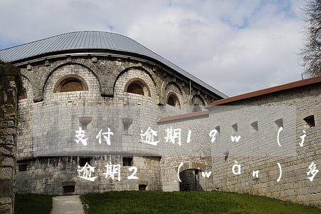 支付寶逾期19w經(jīng)歷(支付寶逾期2萬(wàn)多)
