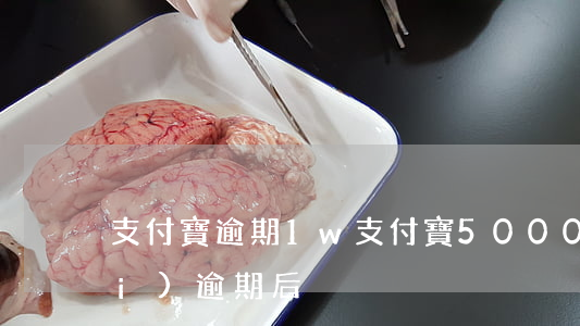 支付寶逾期1w（支付寶5000以內(nèi)逾期后）