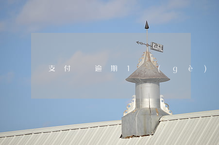 支付寶逾期1個(gè)月上征信嗎