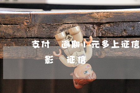 支付寶逾期1元多上征信嗎(支付寶逾期1天會影響征信嗎)