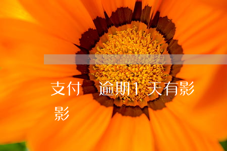 支付寶逾期1天有影響嗎（支付寶逾期1天有影響沒）