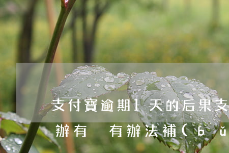支付寶逾期1天的后果(支付寶逾期1天怎么辦有沒有辦法補(bǔ)救)