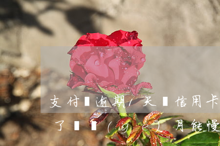 支付寶逾期1天辦信用卡(支付寶信用卡逾期了兩個(gè)月能慢慢還嗎)