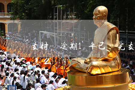 支付寶逾期1年已還完(支付寶逾期一年了該怎么辦)