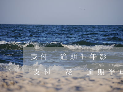 支付寶逾期1年影響當(dāng)兵嗎-支付寶花唄逾期半年會(huì)影響當(dāng)兵嗎