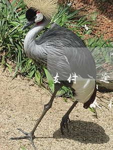 支付寶逾期1年會影響征信嗎(支付寶逾期影響個人征信嗎)