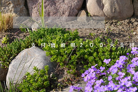 支付寶逾期200天(支付寶逾期200天)