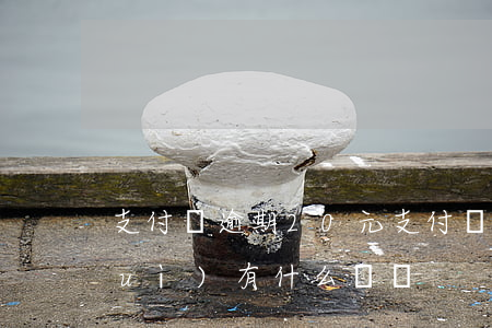 支付寶逾期20元(支付寶逾期20萬,會(huì)有什么處罰)