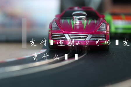 支付寶逾期20可以嗎(支付寶逾期20萬,會有什么處罰)