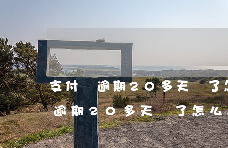 支付寶逾期20多天還了怎么再用-支付寶逾期20多天還了怎么再用不了了