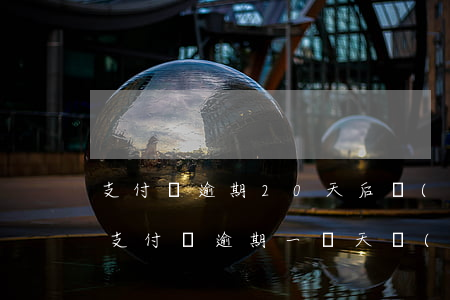 支付寶逾期20天后會(huì)上征信嗎(支付寶逾期一兩天會(huì)不會(huì)有征信記錄)