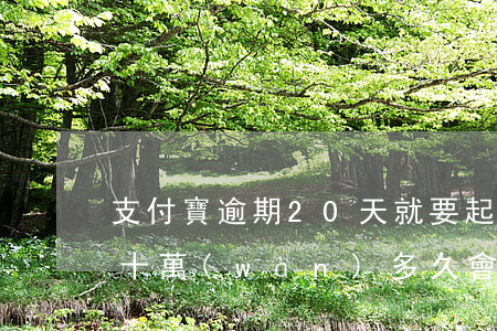 支付寶逾期20天就要起訴 支付寶逾期逾期十萬(wàn)多久會(huì)起訴