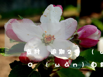 支付寶逾期20萬(wàn)（支付寶逾期10萬(wàn)自救）