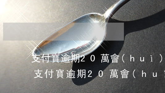 支付寶逾期20萬會(huì)有什么處罰（支付寶逾期20萬會(huì)有什么處罰）