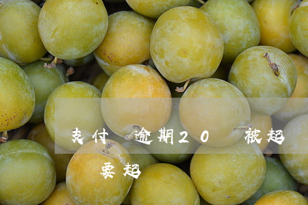 支付寶逾期20萬被起訴 支付寶逾期兩萬多說要起訴