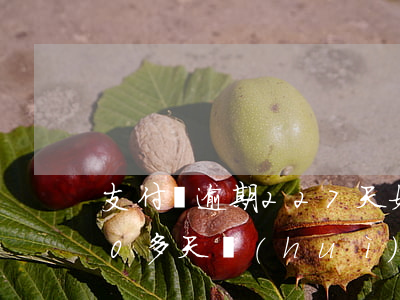 支付寶逾期227天(如果支付寶逾期了200多天會(huì)怎么辦)