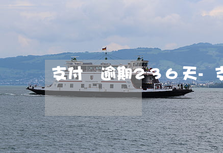 支付寶逾期236天-支付寶逾期240天