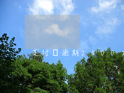 支付寶逾期2500太久