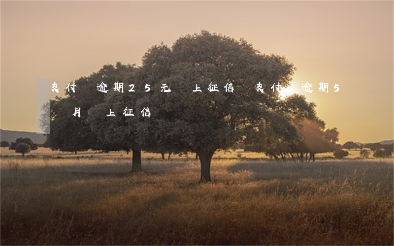 支付寶逾期25元會上征信嗎 支付寶逾期5個月會上征信嗎